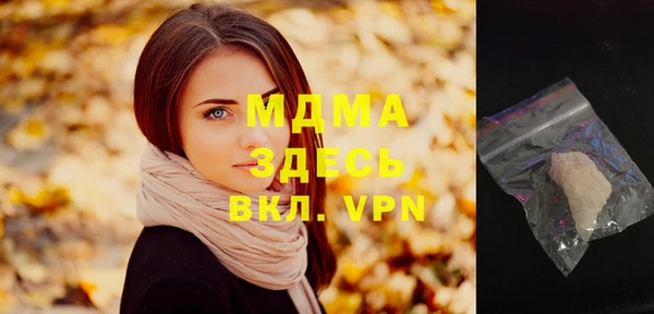 молекула духа Новозыбков
