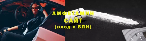 молекула духа Новозыбков