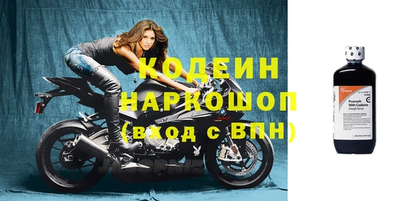 молекула духа Новозыбков